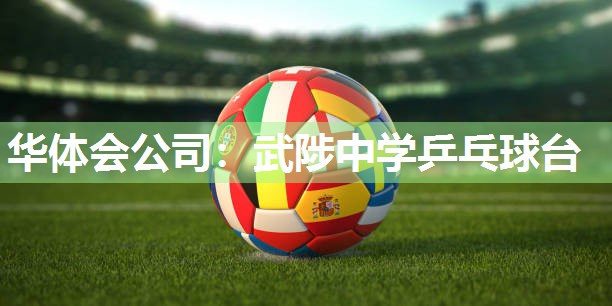 华体会公司：武陟中学乒乓球台
