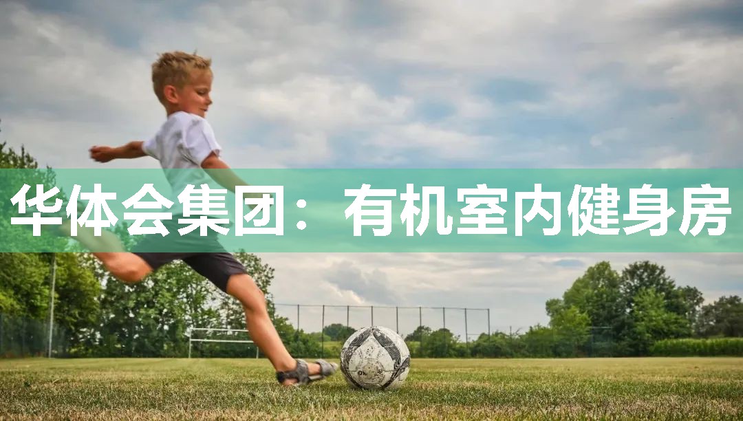 华体会集团：有机室内健身房