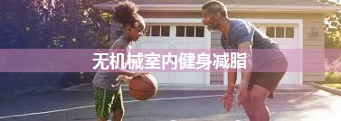 无机械室内健身减脂
