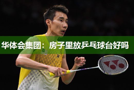 华体会集团：房子里放乒乓球台好吗