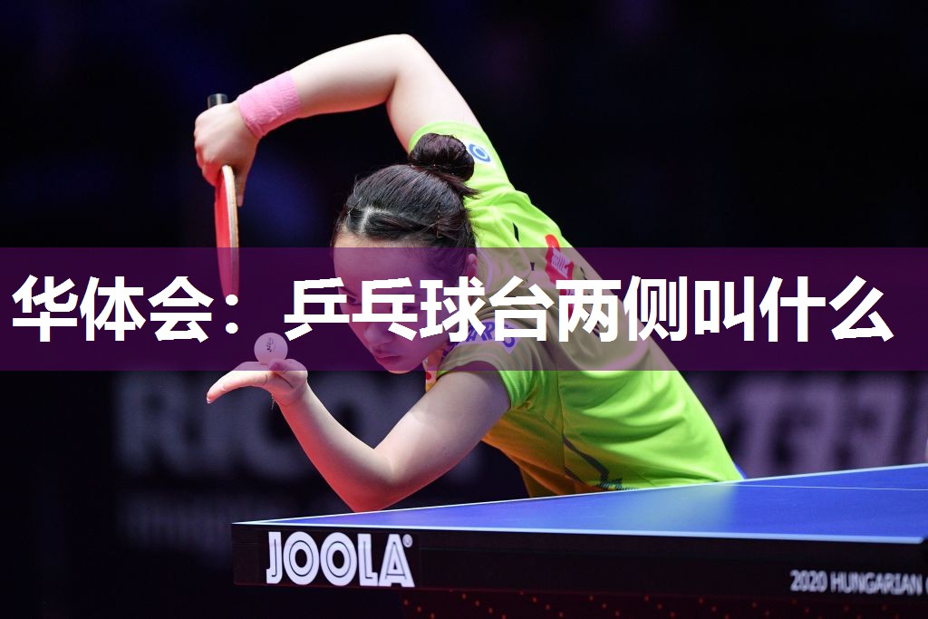 华体会：乒乓球台两侧叫什么