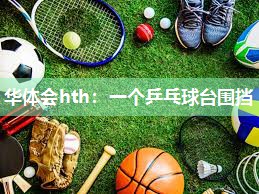 华体会hth：一个乒乓球台围挡