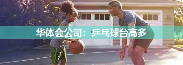 华体会公司：乒乓球台高多