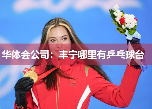 华体会公司：丰宁哪里有乒乓球台
