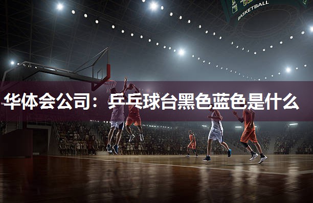华体会公司：乒乓球台黑色蓝色是什么