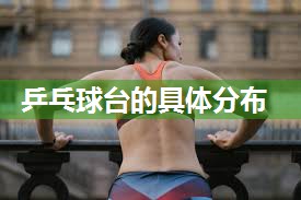 乒乓球台的具体分布