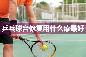 乒乓球台修复用什么漆最好
