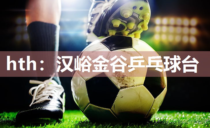 hth：汉峪金谷乒乓球台
