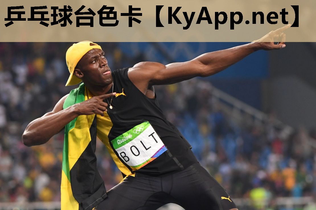 乒乓球台色卡