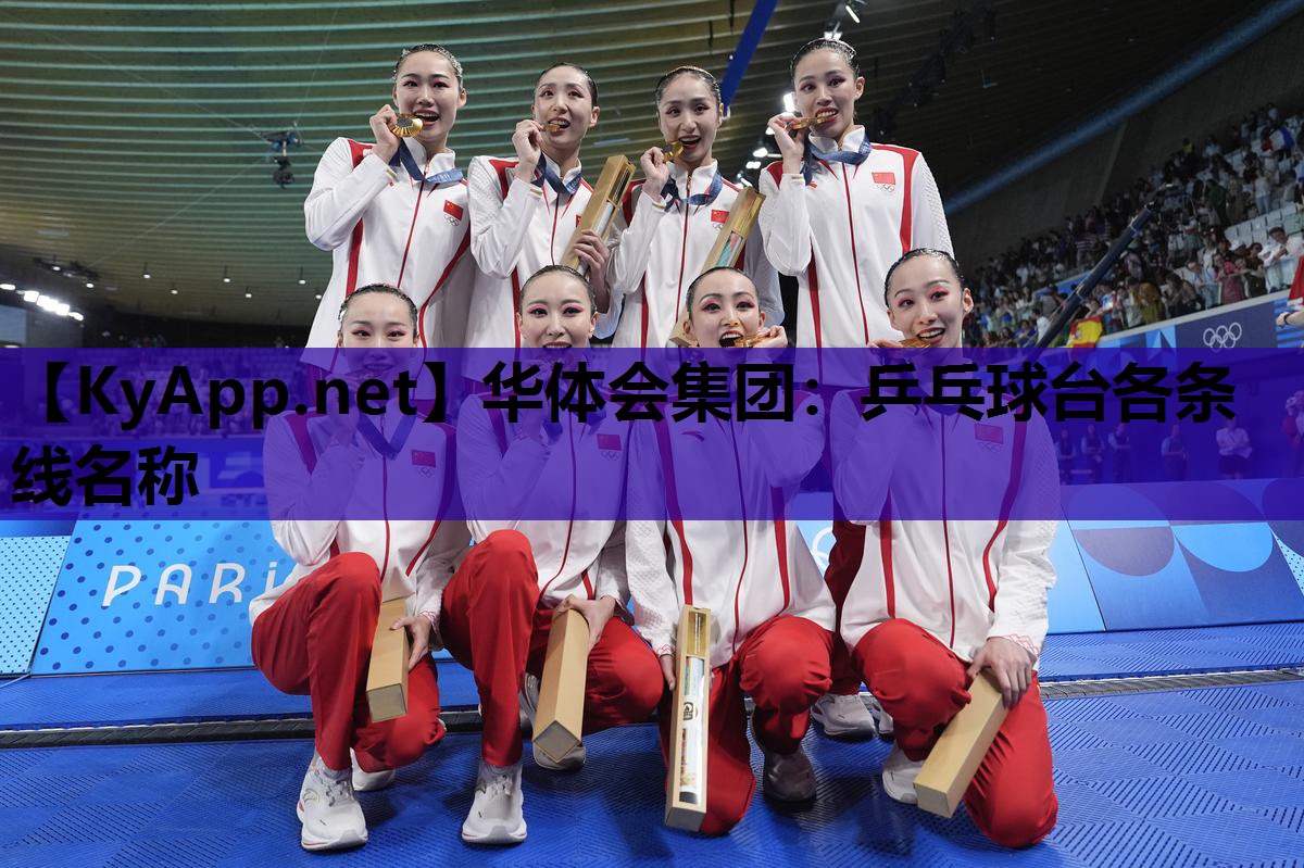 华体会集团：乒乓球台各条线名称