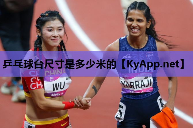 乒乓球台尺寸是多少米的