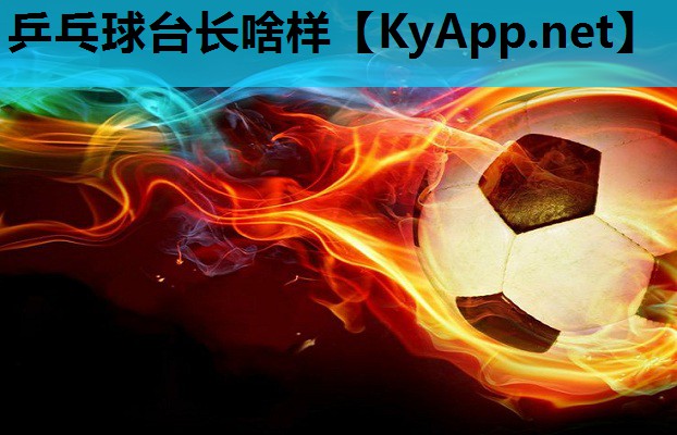 乒乓球台长啥样