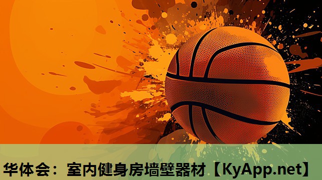 华体会：室内健身房墙壁器材