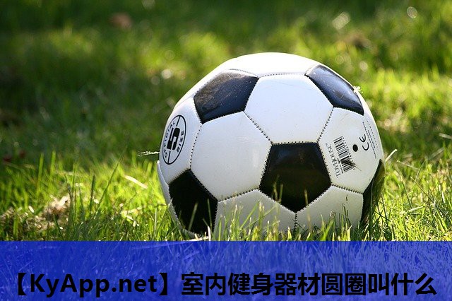 室内健身器材圆圈叫什么