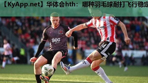 华体会hth：哪种羽毛球耐打飞行稳定