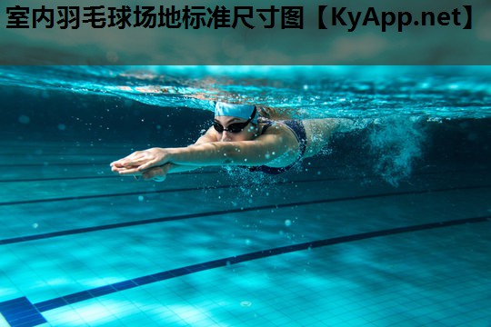 室内羽毛球场地标准尺寸图