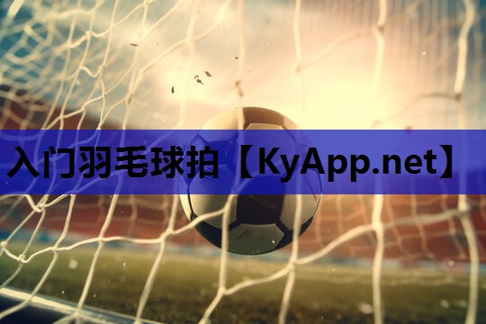 入门羽毛球拍