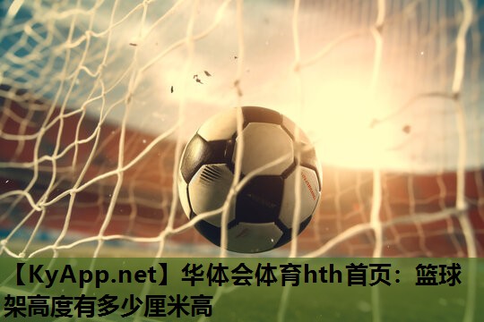 华体会体育hth首页：篮球架高度有多少厘米高