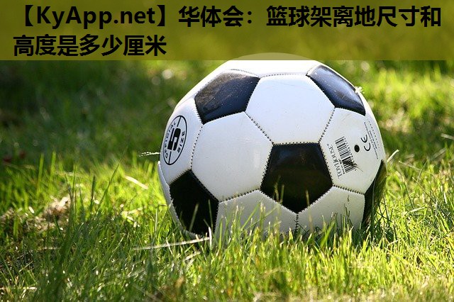 华体会：篮球架离地尺寸和高度是多少厘米