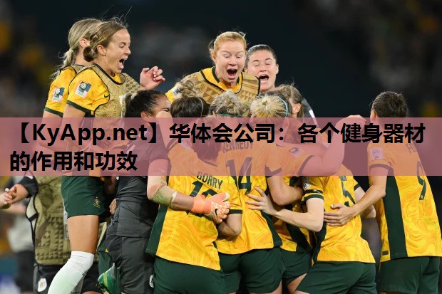 华体会公司：各个健身器材的作用和功效