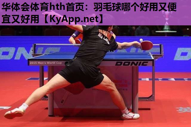 华体会体育hth首页：羽毛球哪个好用又便宜又好用