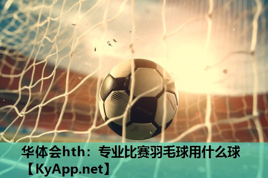 华体会hth：专业比赛羽毛球用什么球