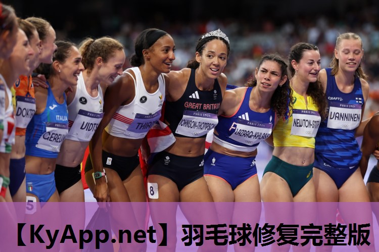 羽毛球修复完整版