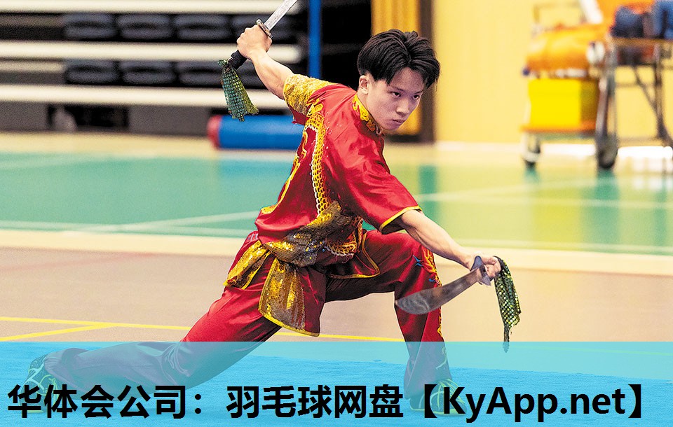 华体会公司：羽毛球网盘