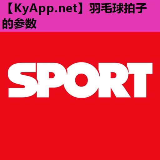 羽毛球拍子的参数