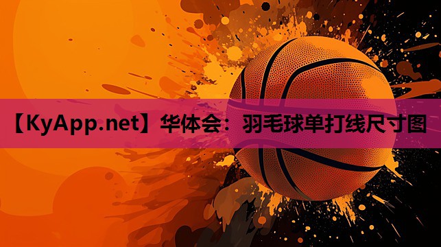 华体会：羽毛球单打线尺寸图