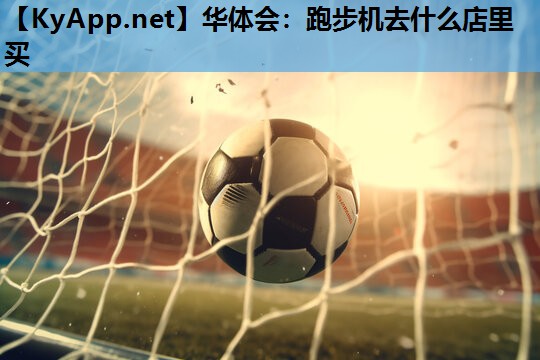 华体会：跑步机去什么店里买