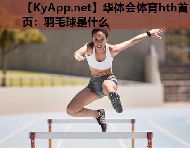 华体会体育hth首页：羽毛球是什么