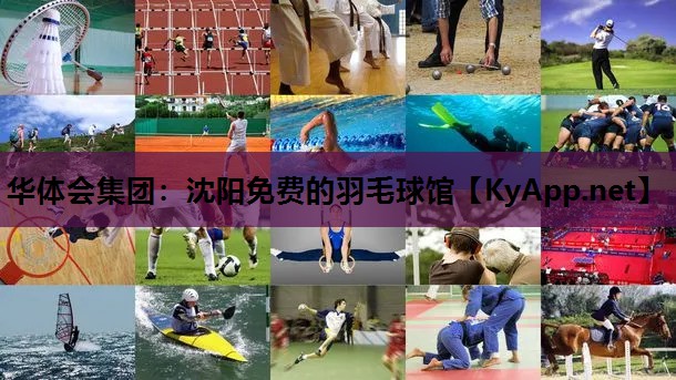 华体会集团：沈阳免费的羽毛球馆