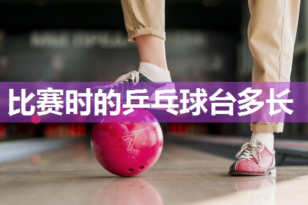 比赛时的乒乓球台多长