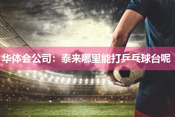 泰来哪里能打乒乓球台呢