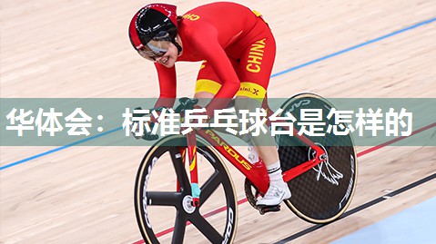 标准乒乓球台是怎样的