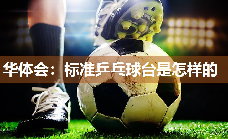 标准乒乓球台是怎样的