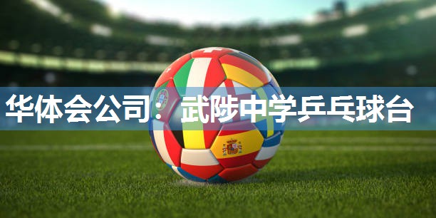 武陟中学乒乓球台