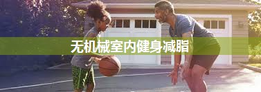 无机械室内健身减脂