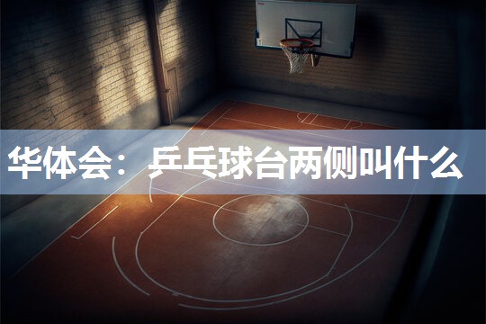 乒乓球台两侧叫什么