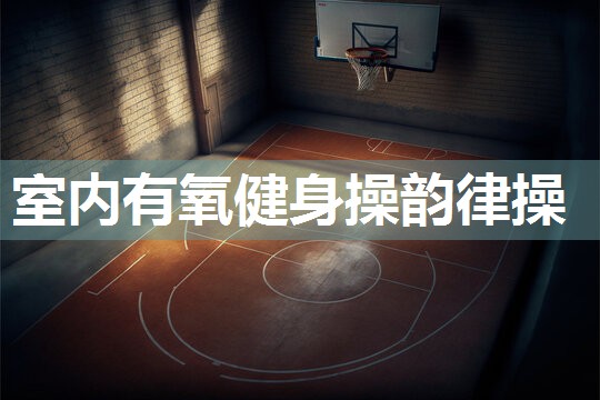 室内有氧健身操韵律操
