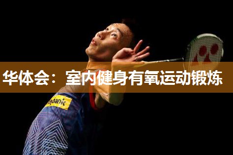室内健身有氧运动锻炼