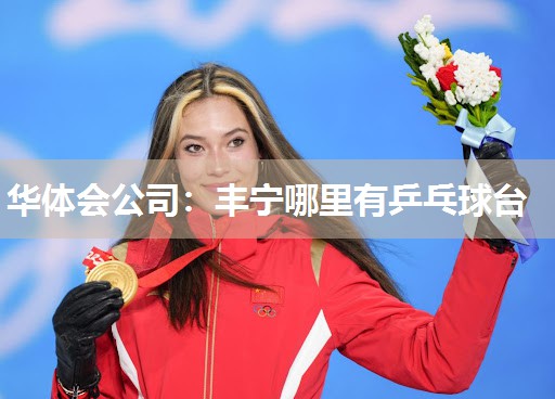 丰宁哪里有乒乓球台