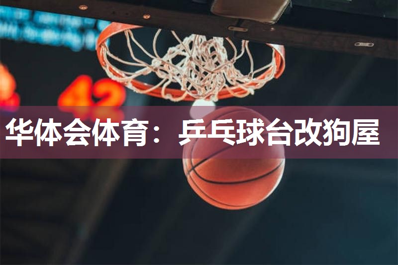 乒乓球台改狗屋