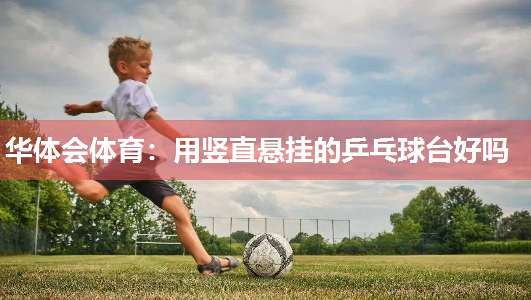用竖直悬挂的乒乓球台好吗