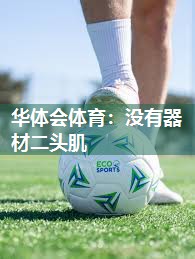 没有器材二头肌