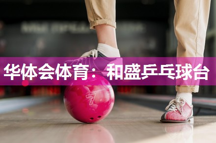 和盛乒乓球台
