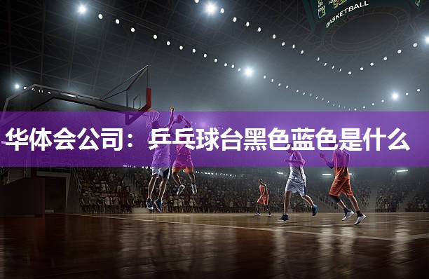 乒乓球台黑色蓝色是什么