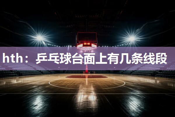 乒乓球台面上有几条线段