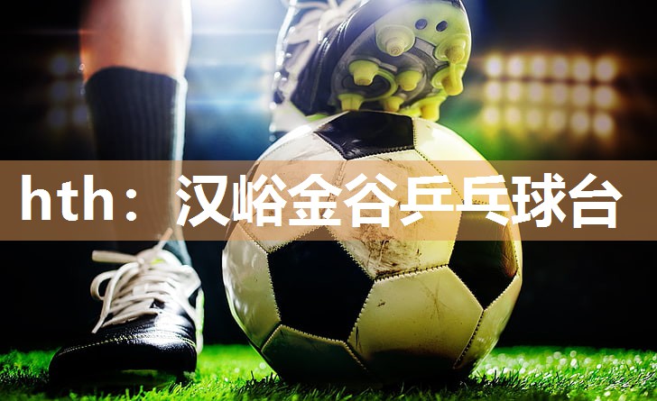 汉峪金谷乒乓球台